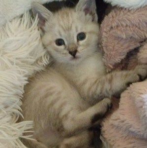 Meet your Posher, Zara